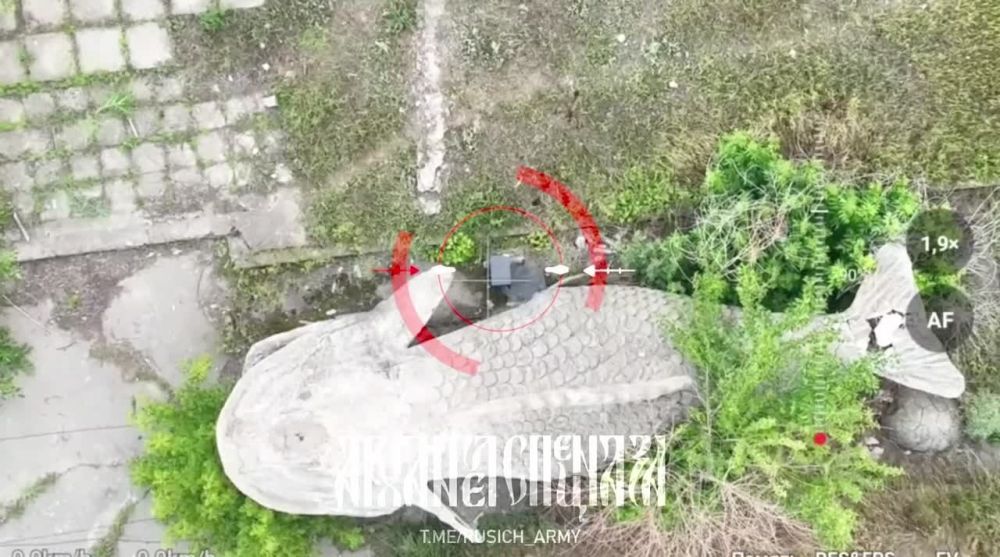 � ��� �������� �� ������? ��� ���� ������.