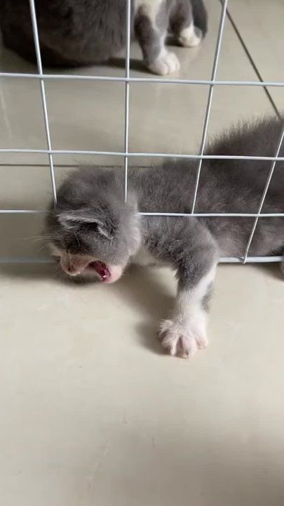 �� ����� ����� ���������������