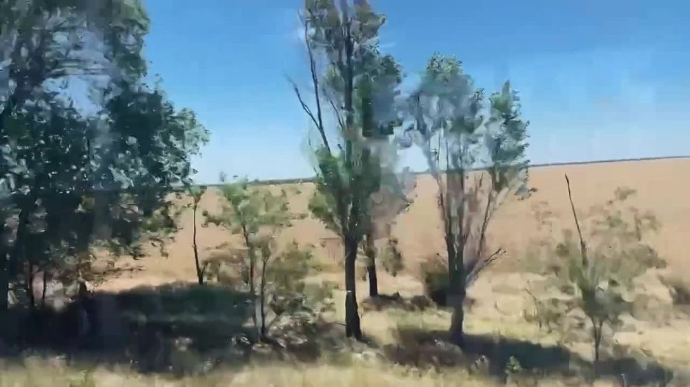 ������ ������: �������� � �������������� ������ ��� �������