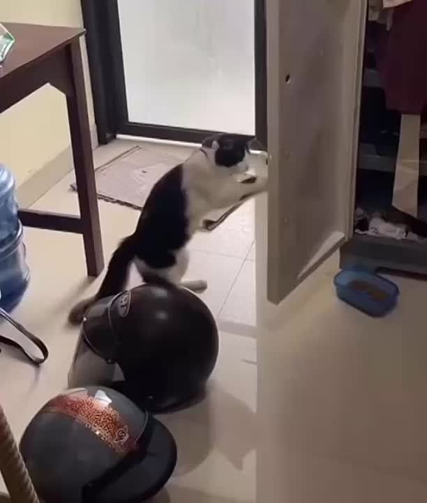 ��������� ���� ���������