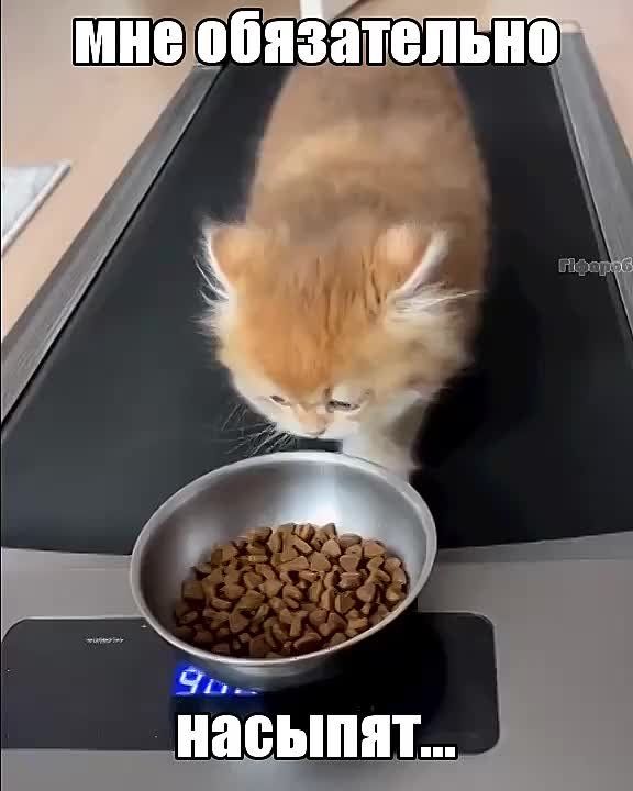 ����!. ��������� ��������!! �������������� ��