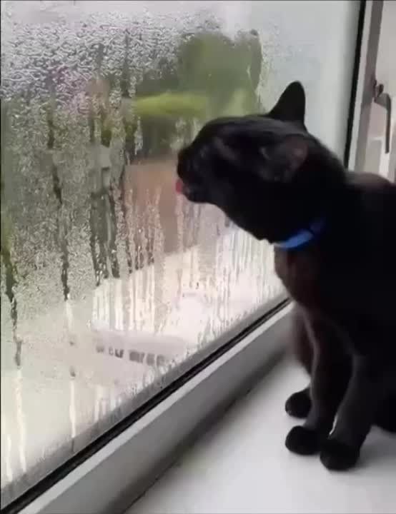 ���� ����. ������. �������������� ��