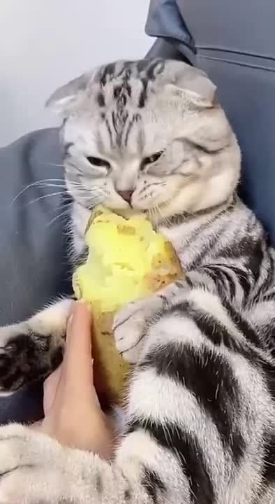 ������� ���� , ������� ������������!
