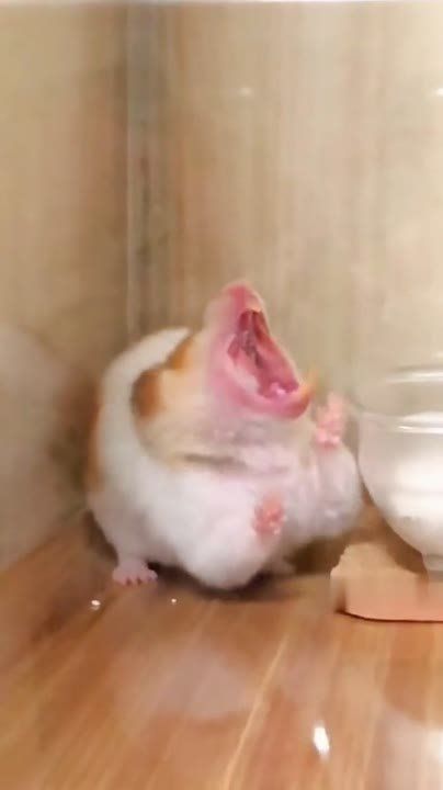 ������ ����!