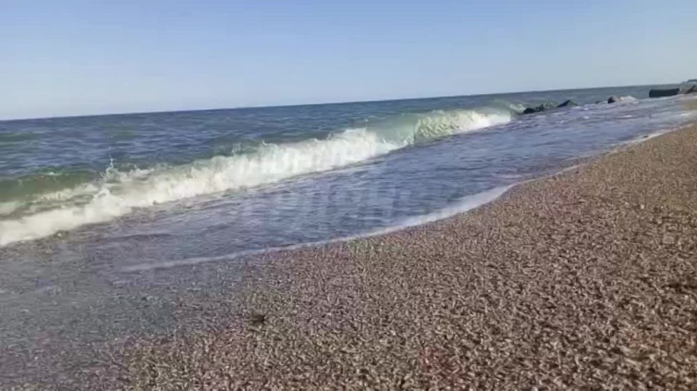 �������� ���� � ��������� ��������� ������ ������ ��������� �������