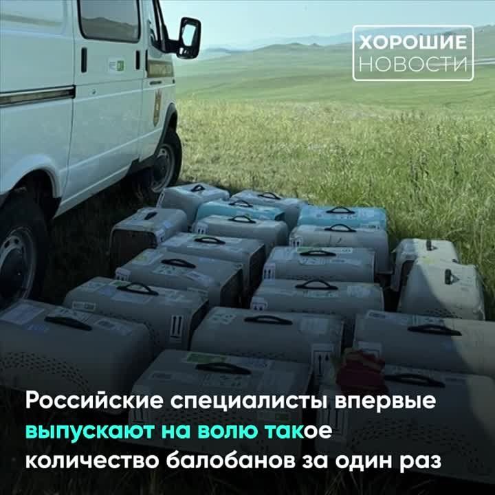 � ������� � ���� ��������� �� ���� 50 ������ ���� � ������������� ���������