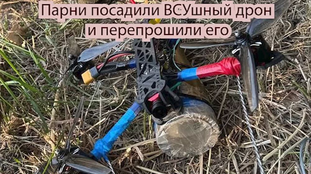 �������� ��� � �������� �������������
