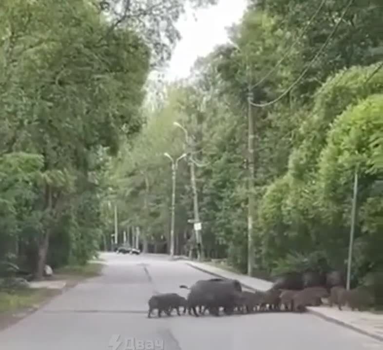 ����� ������ ����� �� �������� �������� � ������ ����� ��� � �����-����������