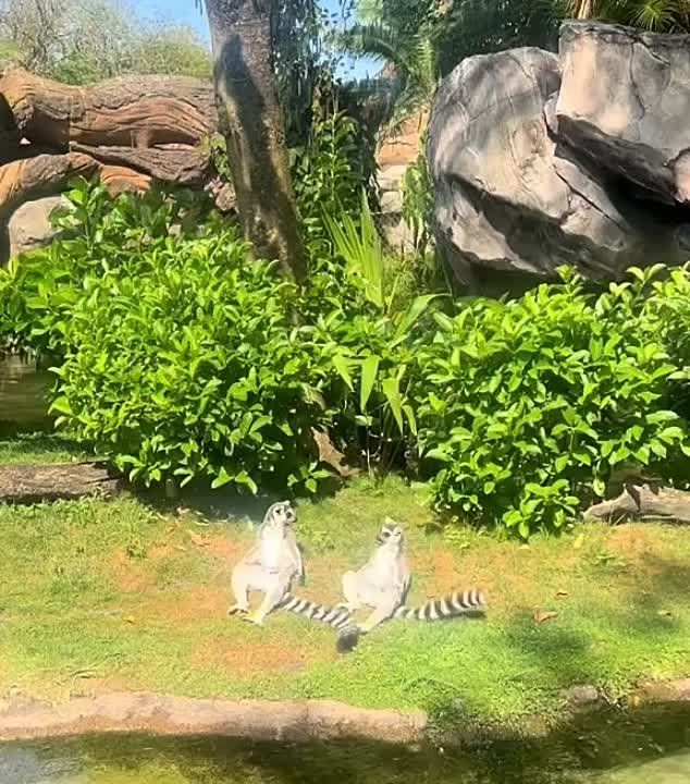 ��������� ����������� ��� �������