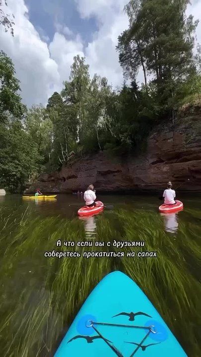 ����� �������� ���-������� � ���� �� ����������� ���� � ������������� ������� - ��� ������ ���� ������