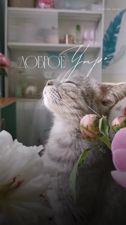 ������ ���� !