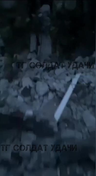 ���������� ���������� ������������ ������ � ���� ������������ ������� ����