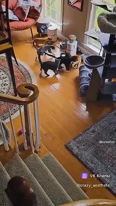 ����!. ��������� ��������!! �������������� ��