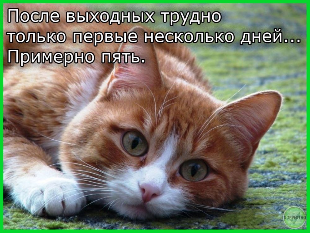 ���������������� ��������� � ����