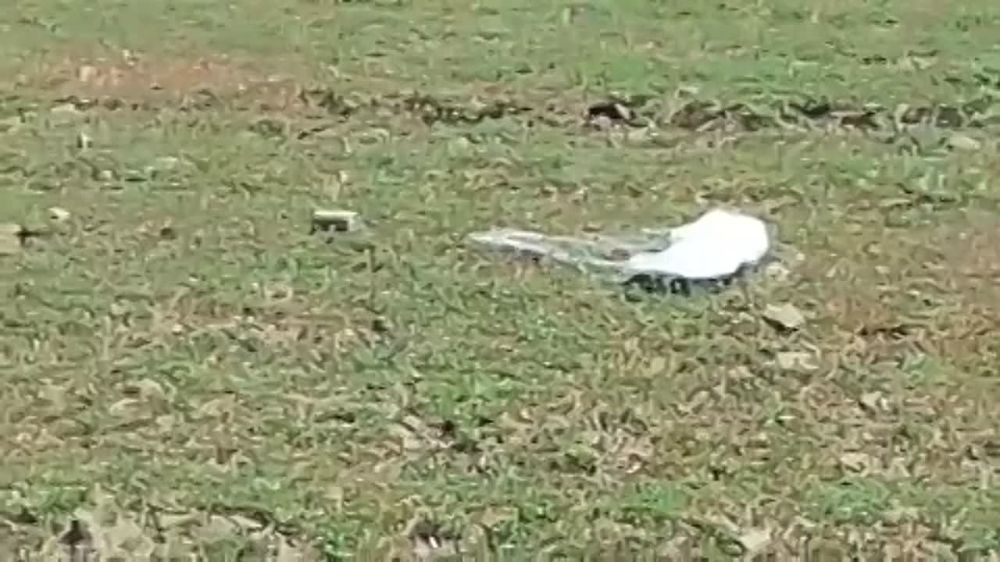 ������� �������: ������� ��� �� ������������ ������� ������������ ������