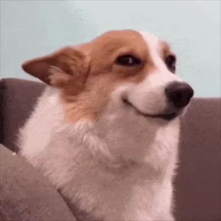 � �� ��� ����� ���� ������ �� ����� ��� �������?