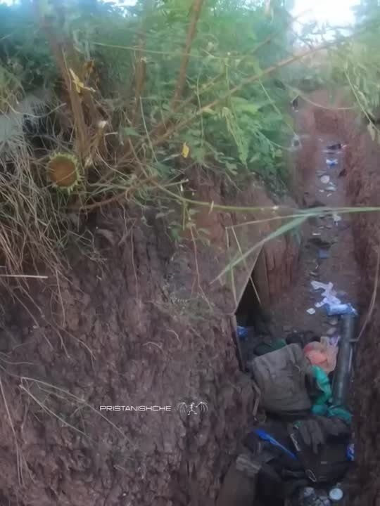 ������ ������ ��������������� ������� �������� ������ ���