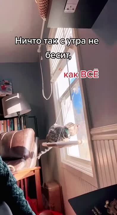 ���������� ����� ������������
