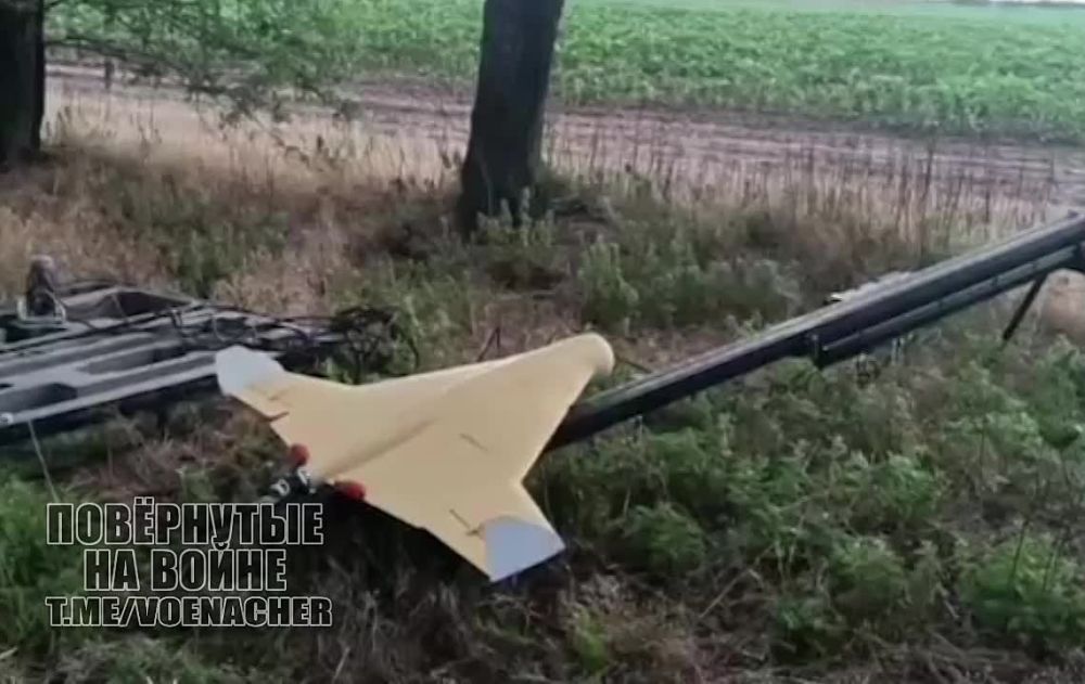 ���� "���-���" ���� ���������� ������� ����� ����������� � ���������� �������