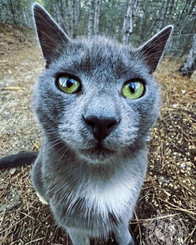 ������ ��� � �����. ��������� ������