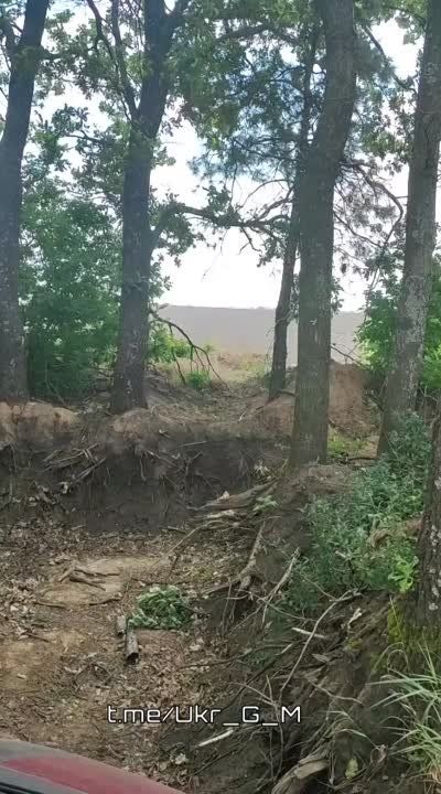 ���������� ����� ��������� ������� ������������ ����� �� ������� �������� � ��������� ������� ���