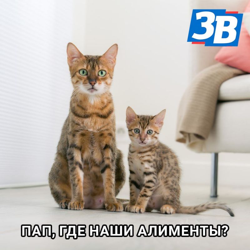 548 ���. ������ � ����� ����� ��������� ������ ��������� 41-������ ������ ���������� �� ���������� ������������������ ������