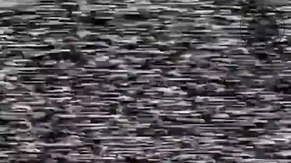 ��������� ���������� ���� ����������� ����� ������� ������� � ������ ����� �����