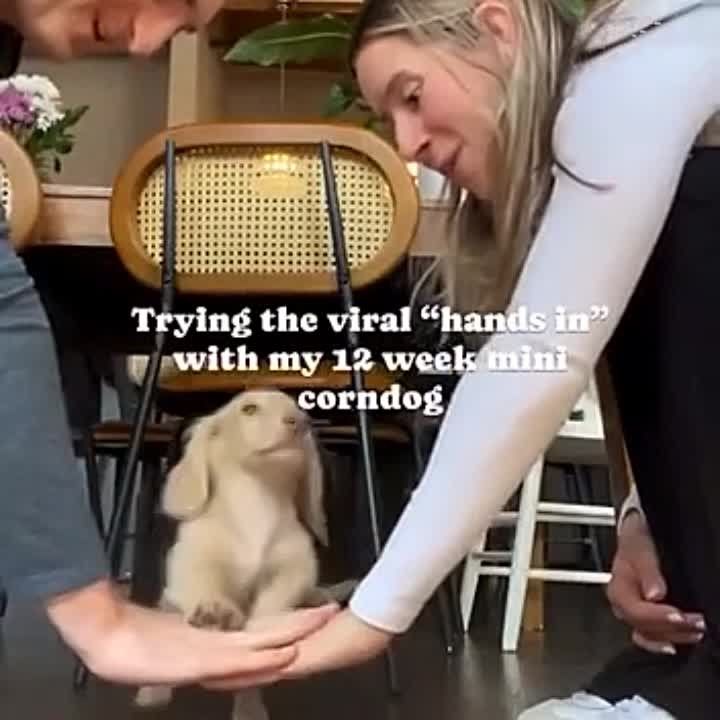 �������, ��� ����� ����� �� �������