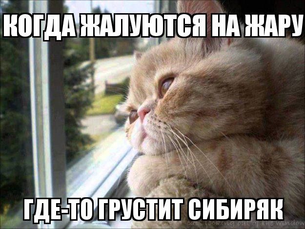 ���������� ���� � ��������� ��� ������� ����������� �������