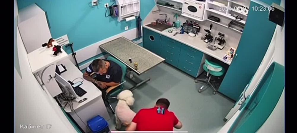 �� ����� � ����������, ��������� �������� ���, ������ ������� � �������