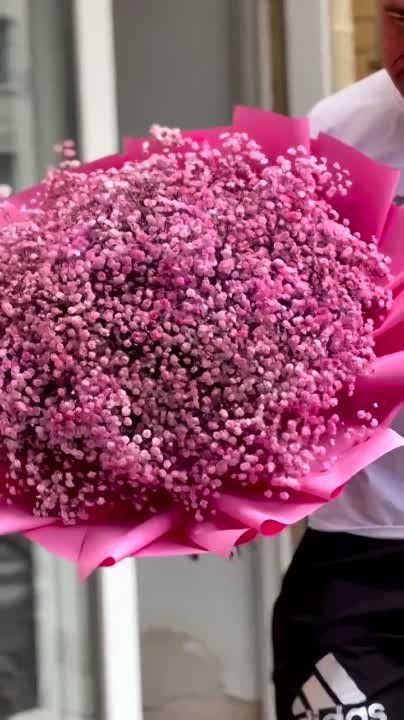 AZOV FLORA . ������ � ���������� �� ��������� ����� ����� ����� �������� ������ ���������� ��� ��� ���� ����� ��������� ��������� �� ������ ����� � ���� � ������ � ��� ����� ��������