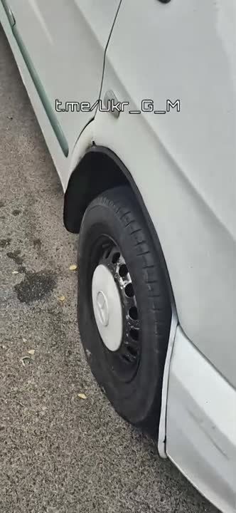 ��� ��� �������� �������� ������