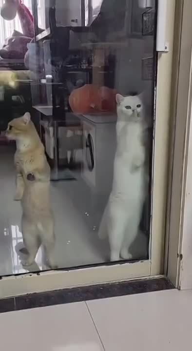 ��� ��������� ������������ ������ ����� � ��� ���� ����
