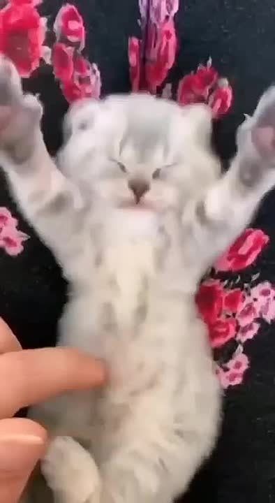 ������� ���� , ������� ������������!