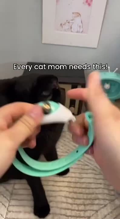 ������� � �� ������ ���������: �������� ������ ������ ���������� ����� � �������