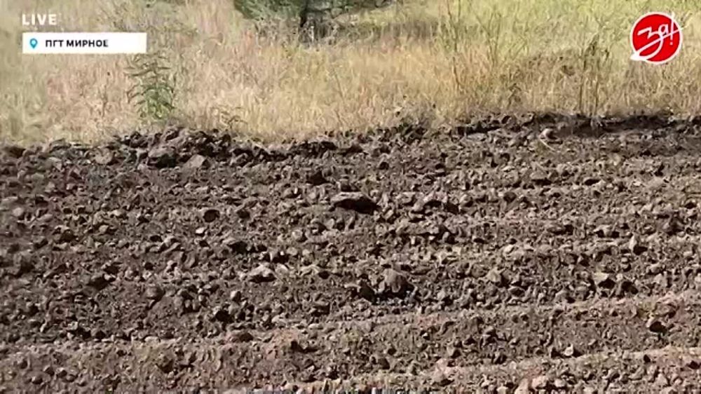 � ������������ ����������� ������� ������� ���������������� ��������������� ������