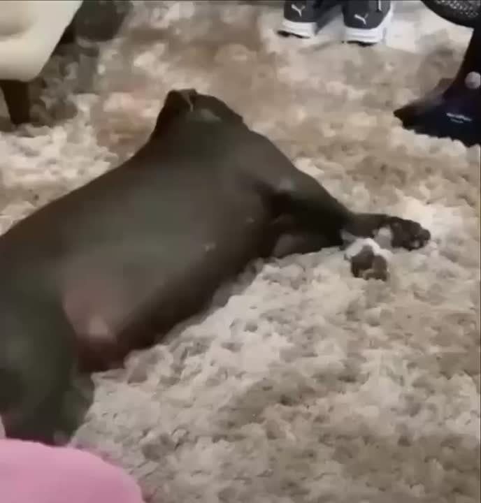 ������ ����, ������!. ����� �����������! �������������� ��