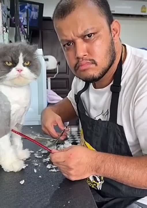 �� ��� �� �� �����. �������������� ��