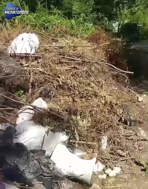 ��������� ������ ��������� � �������������� ����� ��������� � ������� ��������� �� �������� ����� ������� ����� ����� �������