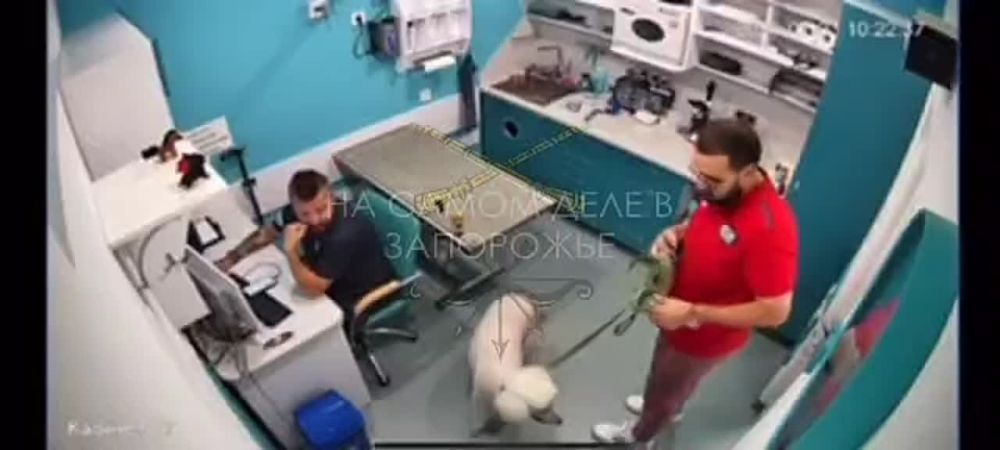 ������ �� ���@�, ��@��, ��@���