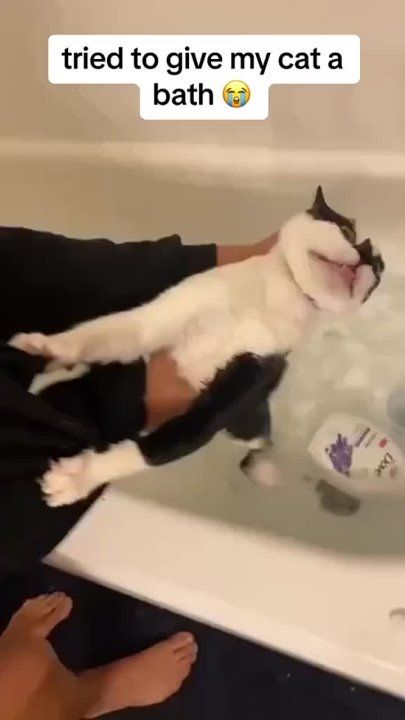 ������� � ���������!. �������������� ��