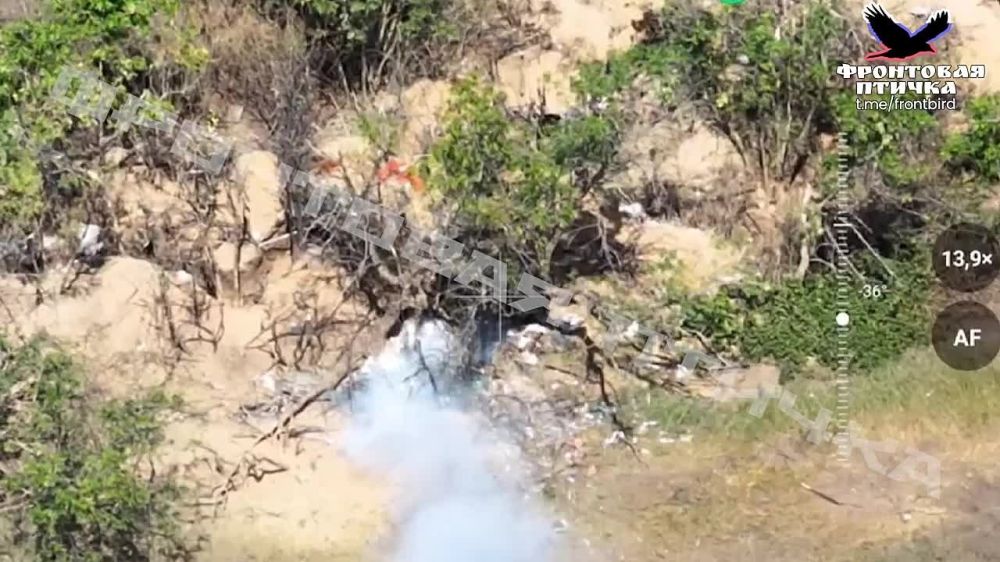 ����� �����: ������ ������ �� �������� ��� ����������� �����������