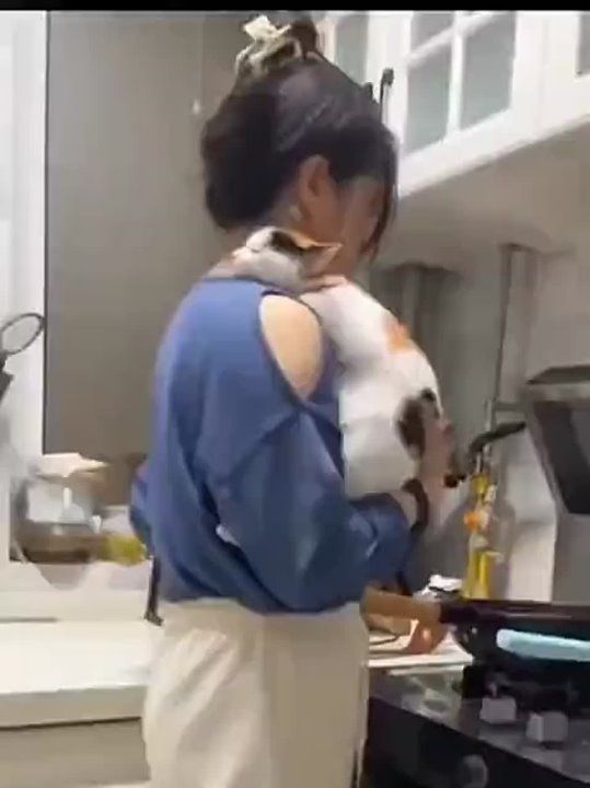 � �������� �� �������������