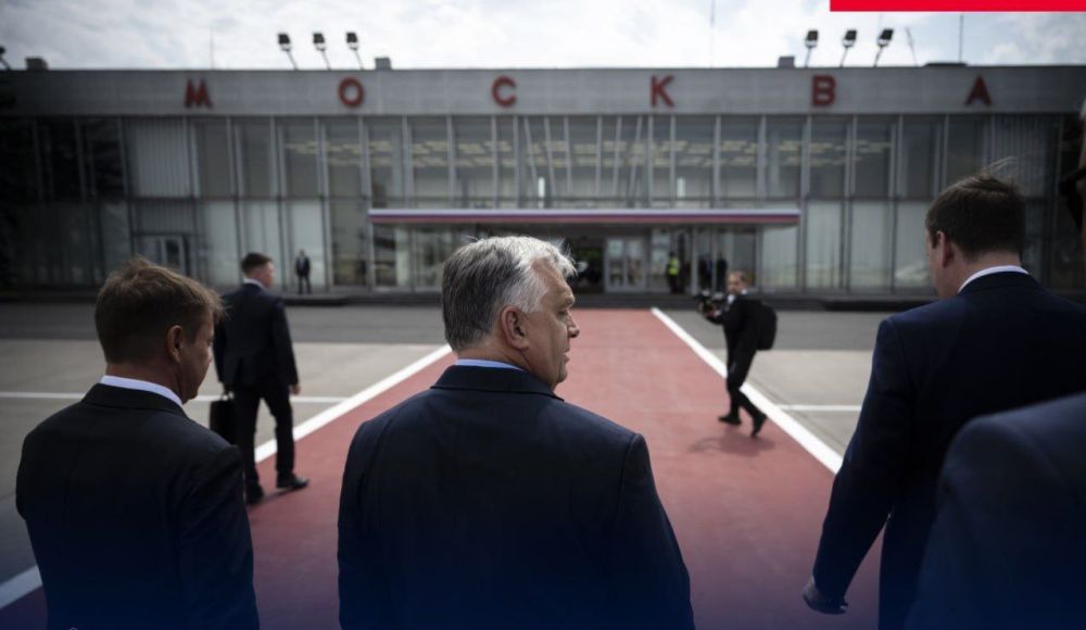 ����� ������ � ������� � ������