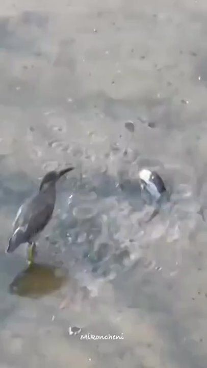 ����� ������� ������. �������������� ��