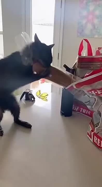 ����!. ��������� ��������!! �������������� ��