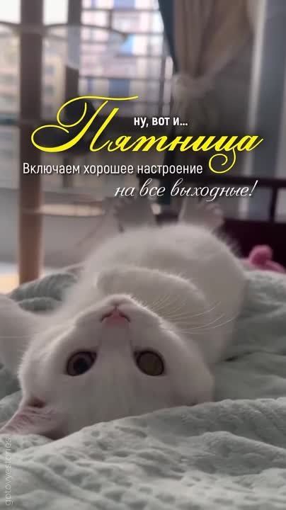 ������� ����, � �������� ���!