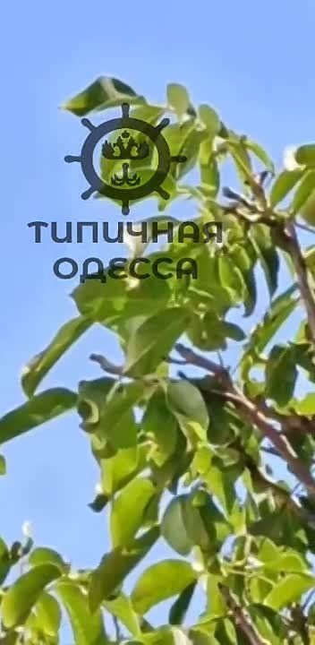 ������ - �������� ����. - �� ������ ����� ��� ������. ���� ������-�����������