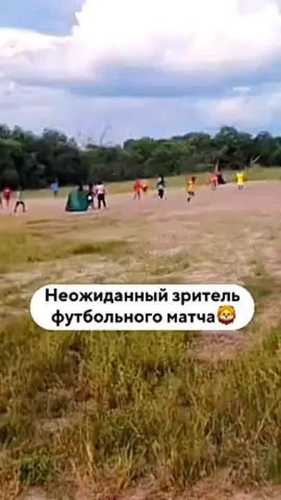 ������������ ��� ��� ����� ������