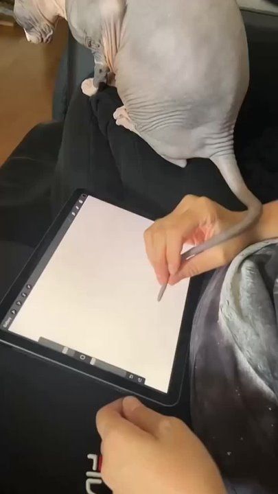 ������� ��� ���� ���������� ����� �����